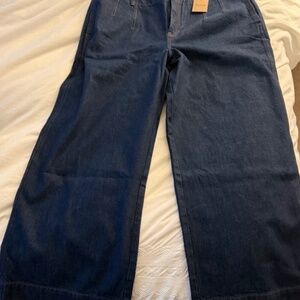 Boden Wide Leg Jeans-Indigo-Plus Size